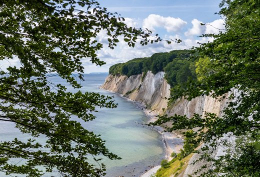 Las bukowy na kredowo-białych klifach Jasmund. Widok biegnie wzdłuż wybrzeża z widokiem na Morze Bałtyckie