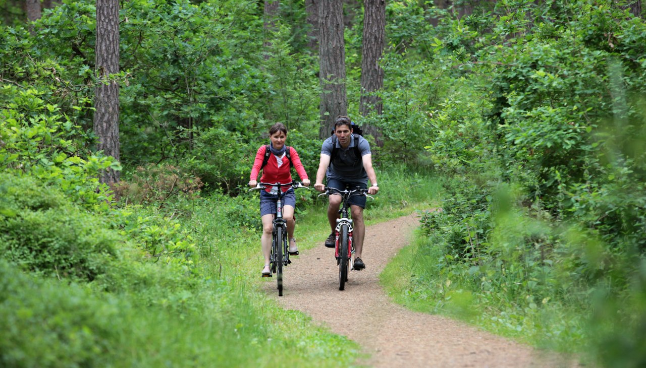 Baaber_Heide-®KV Baabe, © KV Baabe Baaber_Heide-®KV Baabe, © KV Baabe