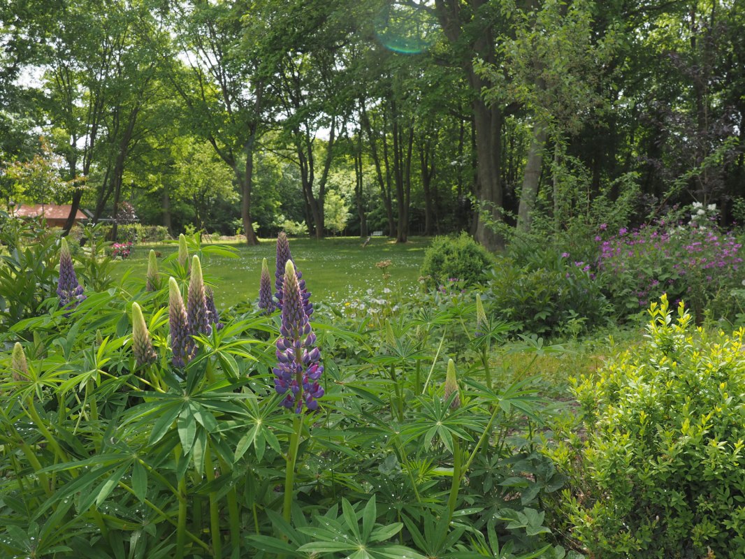View of the park // © Annelie Maiwald View of the park // © Annelie Maiwald