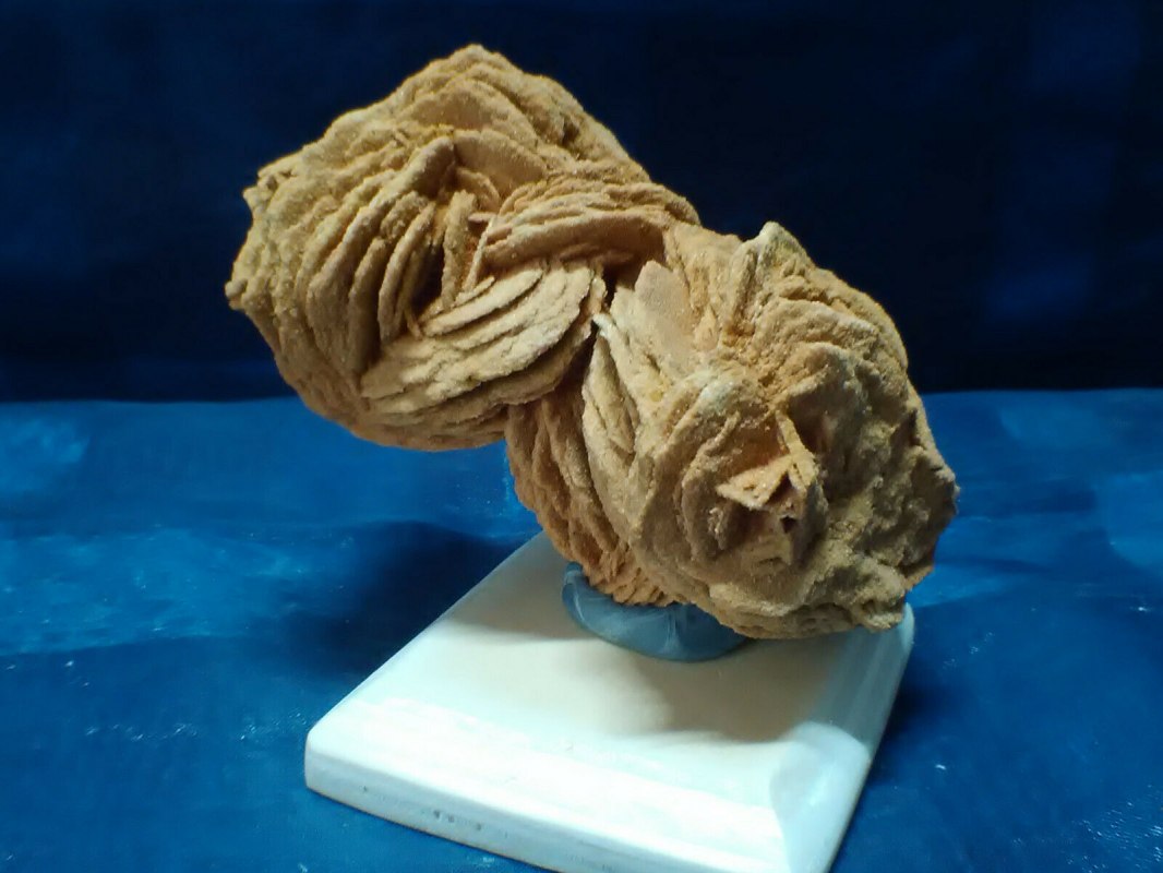 Sandrose van Rockenberg Hessen, © Peter Ramsch Sandrose van Rockenberg Hessen, © Peter Ramsch