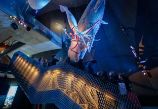 &copy; Anke Neumeister/Deutsches Meeresmuseum