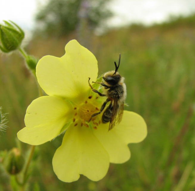 &copy; Gordon K&auml;belmann