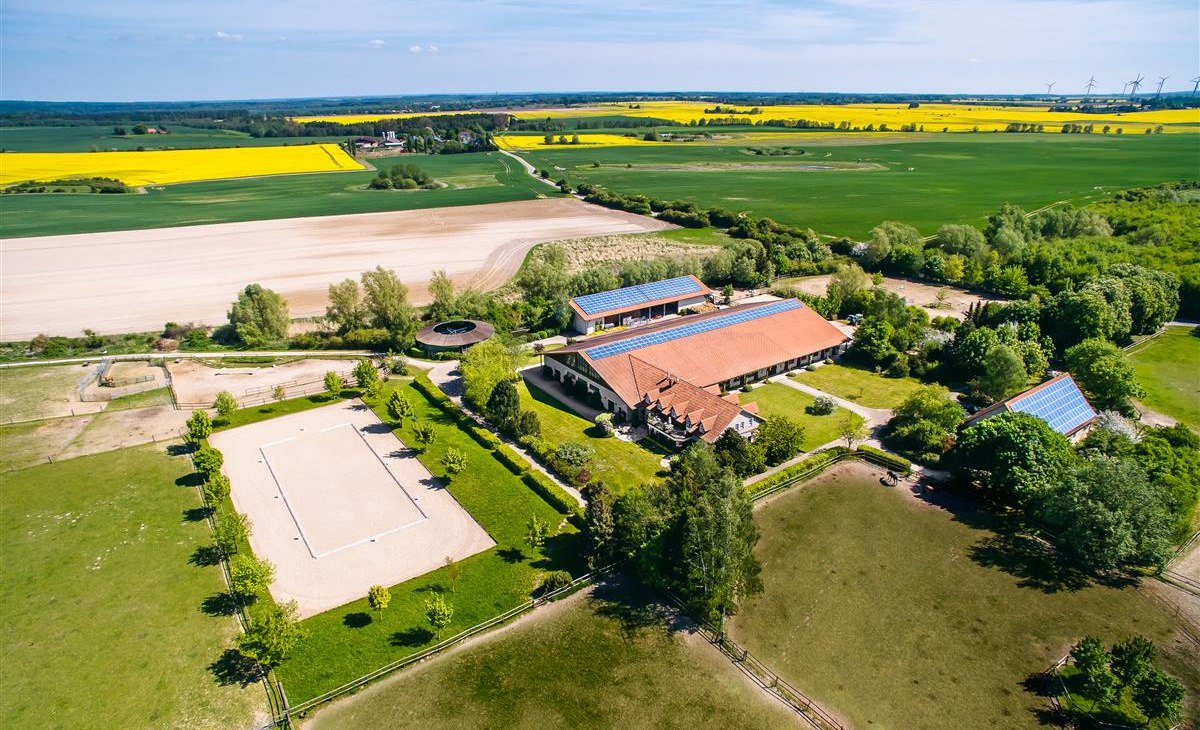 Peeneland boerderij, © Bombis Peeneland boerderij, © Bombis