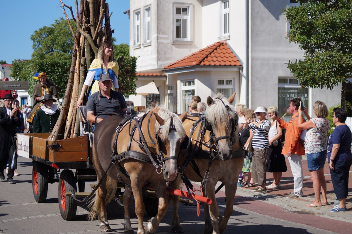 &copy; Festumzug