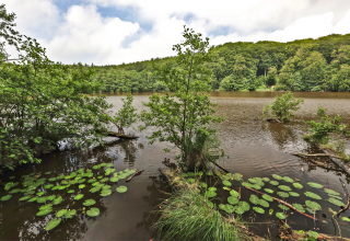 © TMV/Gohlke © TMV/Gohlke