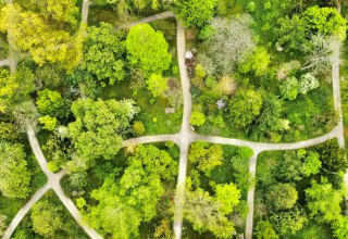 © Gudrun Koch © Gudrun Koch