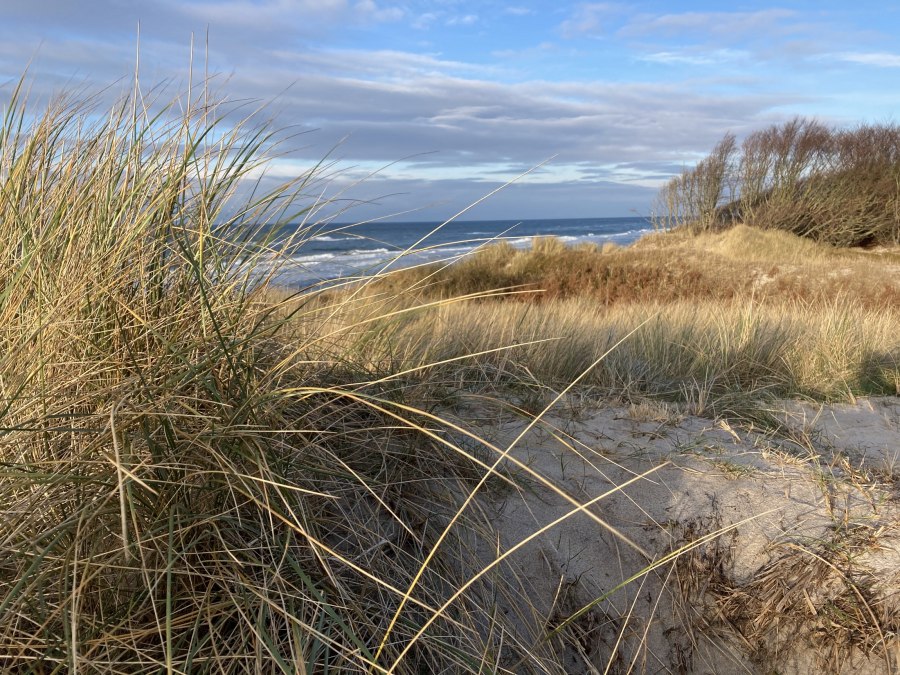 West Beach Winter, © Katrin Bärwald