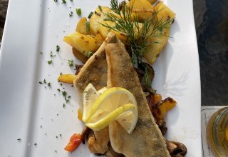 © Südliche Boddenküste © Südliche Boddenküste