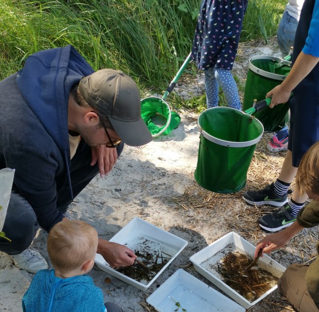 &copy; W. D&ouml;bbert