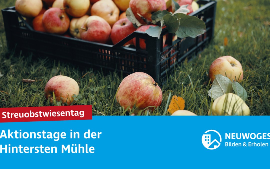 neuw-groep_extern-coming_home_action_days-24-nest_orchard_day, © NEUWOGES