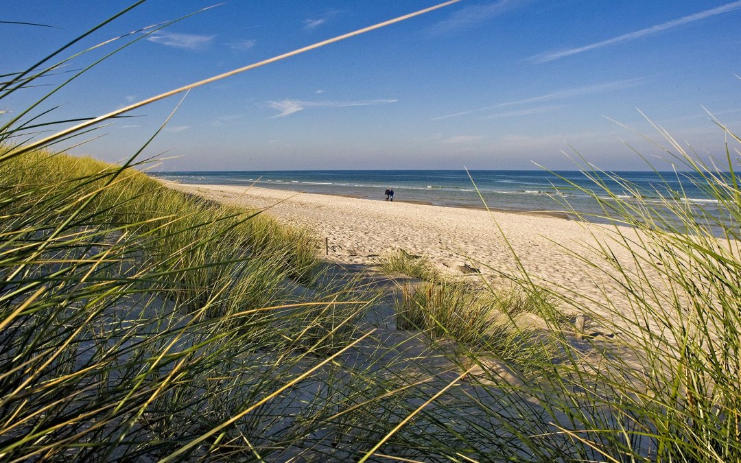 Uitzicht op het strand van Prerow, © ginkgomare
