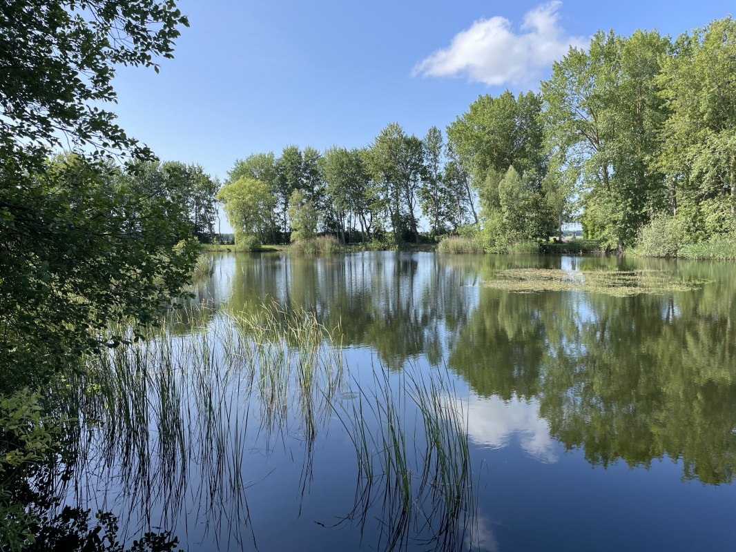 &copy; TZ S&uuml;dliche Boddenk&uuml;ste