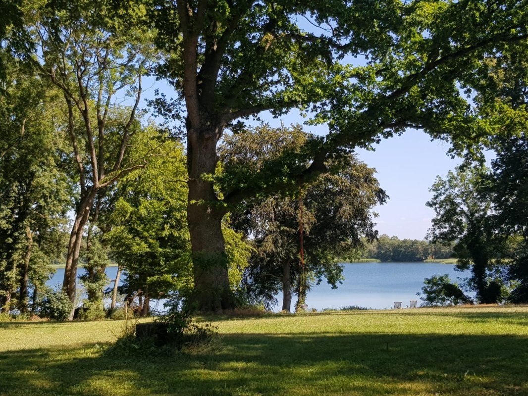Park of the manor house on Lake Penzlin // &copy; Jutta Janssen