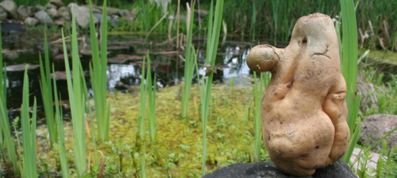 © Elena Kolcova © Elena Kolcova