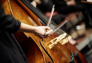 &copy; Mirco Dalchow