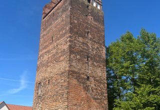 &copy; Gina Schulenberg