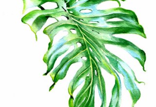 &copy; Jenny Thalheim