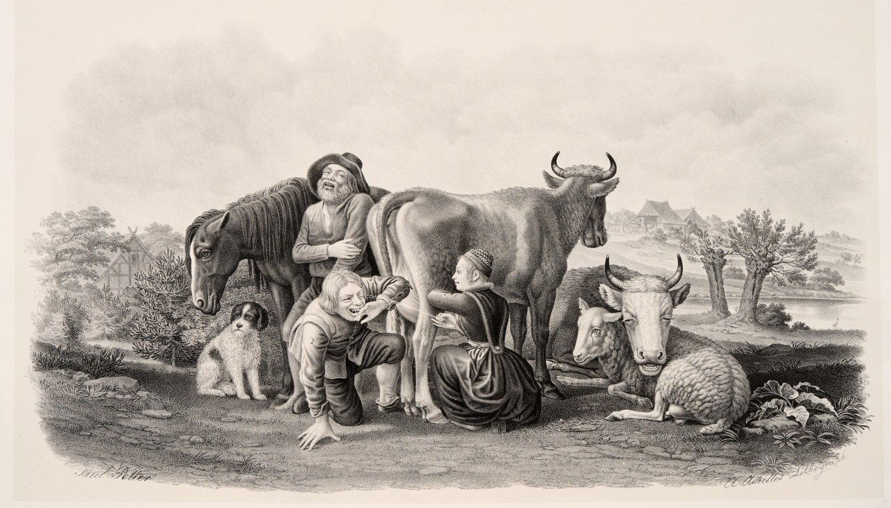 &copy; Stiftung Mecklenburg, Inv.-Nr. 2025/19