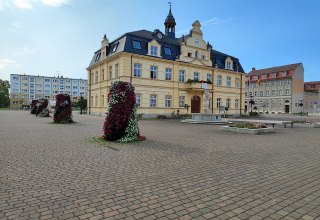Marketplace view // &copy; Hansestadt Demmin