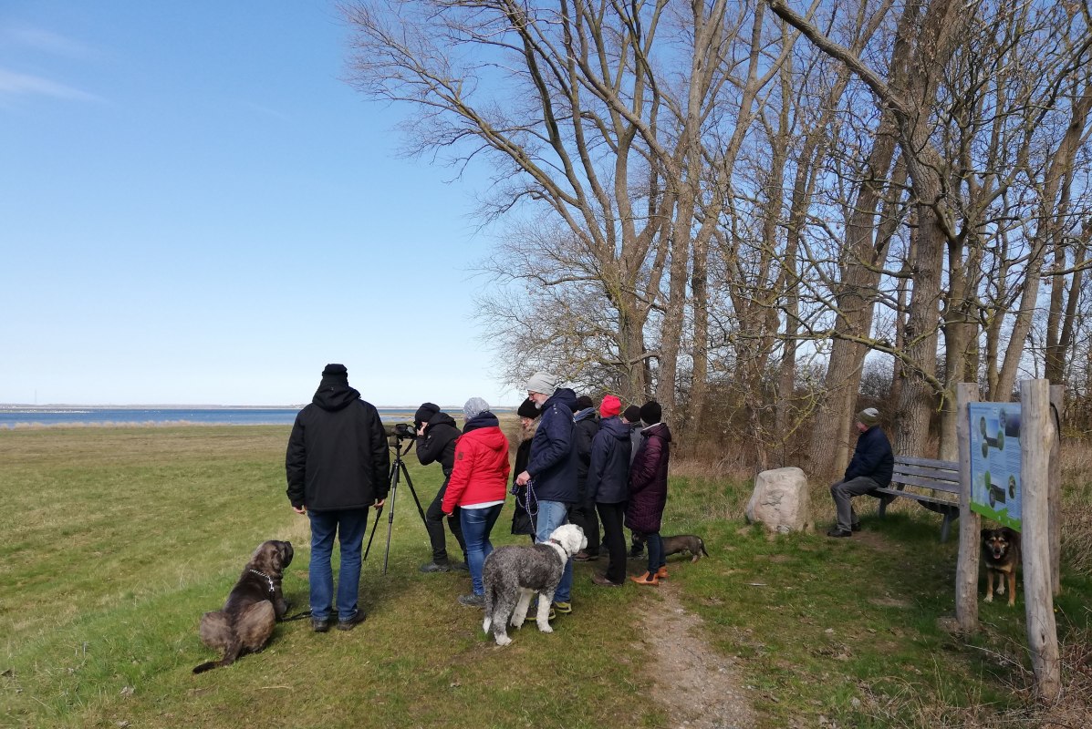 Hiking_group_nature_observation_Neuendorfer_wiek_Zessin // © Ines Wilke Hiking_group_nature_observation_Neuendorfer_wiek_Zessin // © Ines Wilke