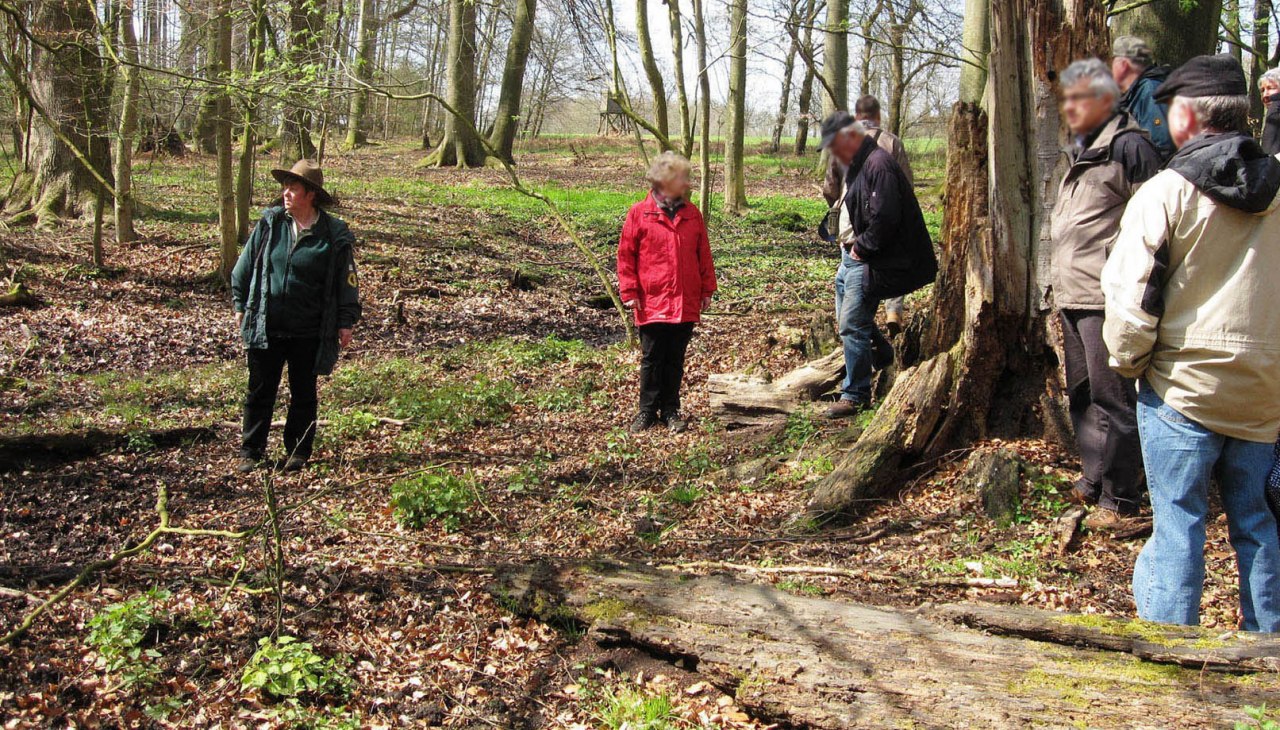 Ranger_Colell_Fuehrung_Feldgehoelze_BRA, © Biosphärenreservat Schaalsee-Elbe