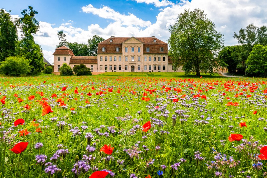 Zamek Kummerow - fasada północna, © Alexander Rudolph