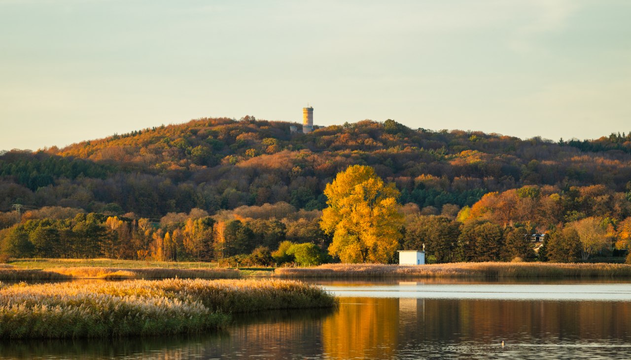 20241102-Neuensiener-See-Foto-ChBurwitz-6, © CHBurwitz 20241102-Neuensiener-See-Foto-ChBurwitz-6, © CHBurwitz