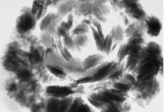 &copy; Deutsches Japamuseum - Schloss Mitsuko