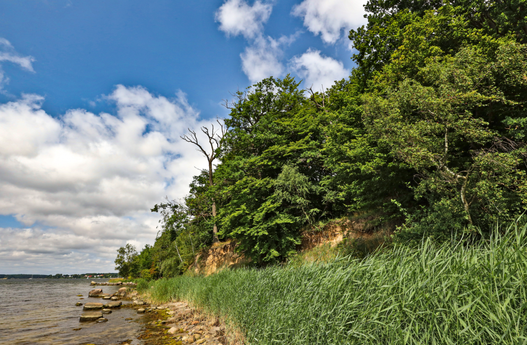 ścieżka-muszenia-i-rozpoznania_3, © TMV/Gohlke