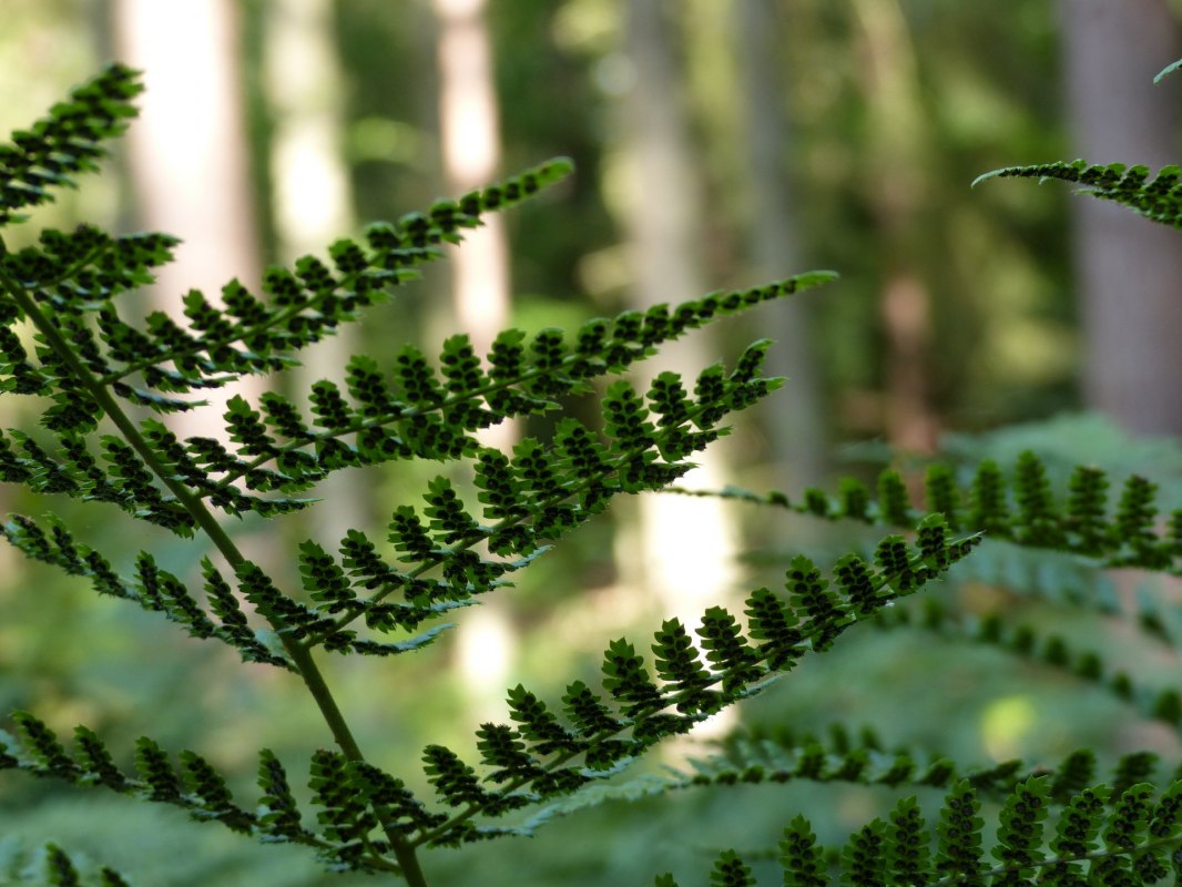 &copy; Bianca Schubert