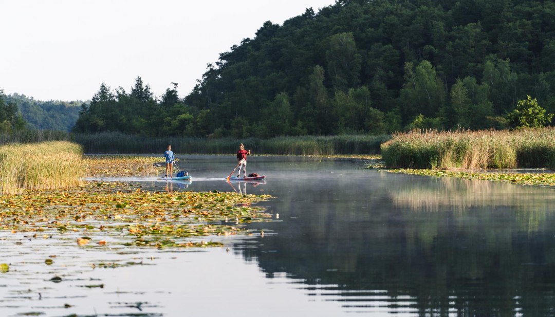 Twee vrouwen peddelen op een stand-up paddle board op een meer.
