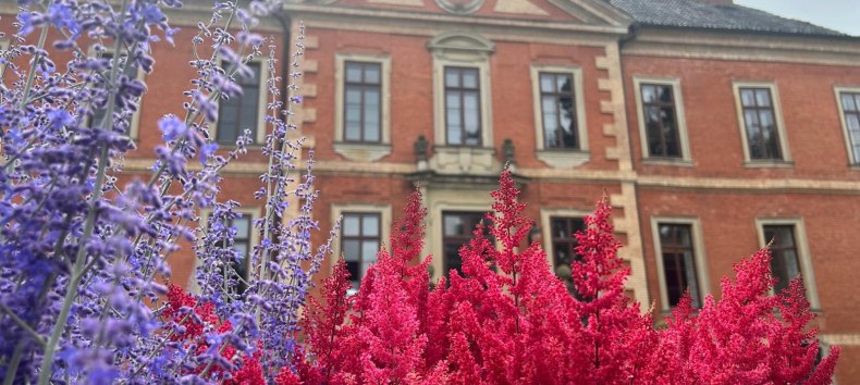 &copy; Das AgenturHaus GmbH