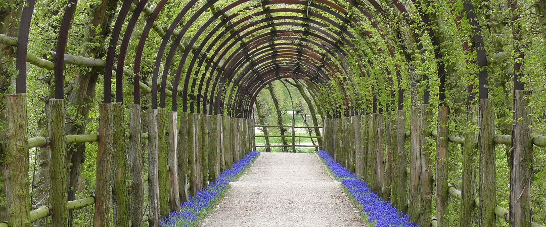 Pergola in Schwerin Palace Garden, © SSGK MV / Dietmar Braune Pergola in Schwerin Palace Garden, © SSGK MV / Dietmar Braune