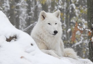 © Hansestadt Stralsund © Hansestadt Stralsund