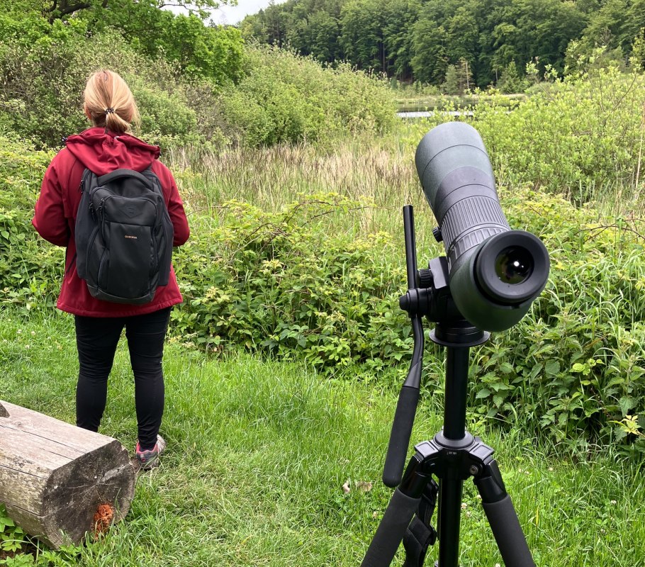 Bird song hike, &copy; Nationalpark-Zentrum K&Ouml;NIGSSTUHL
