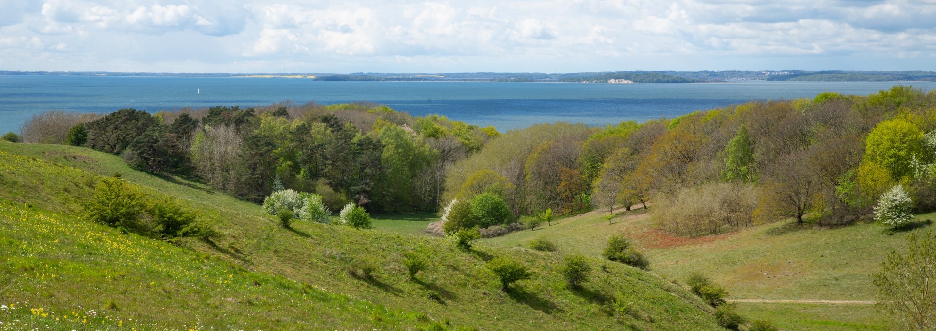 Viewpoint Zicker Berg with green hills, flowering meadows, forest and the Baltic Sea in the background under a slightly cloudy sky.