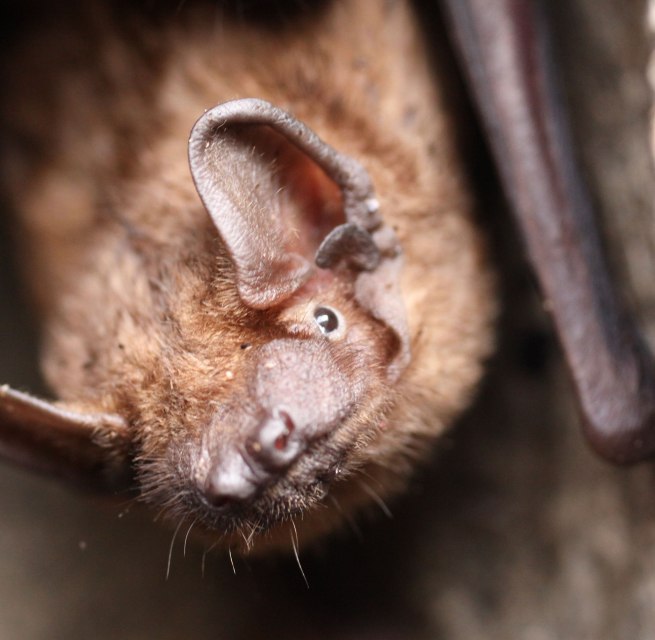 © Zoo Rostock/Schilling