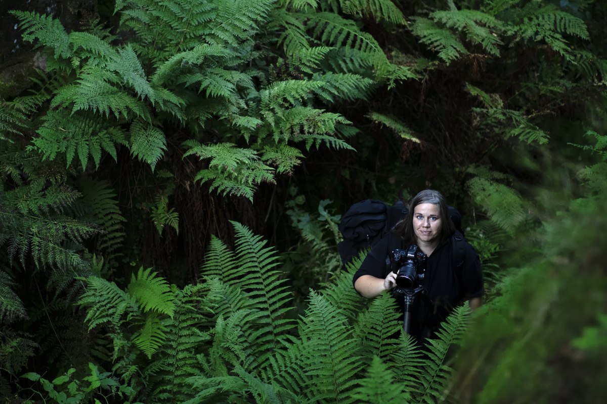 &copy; Sandra Bartocha