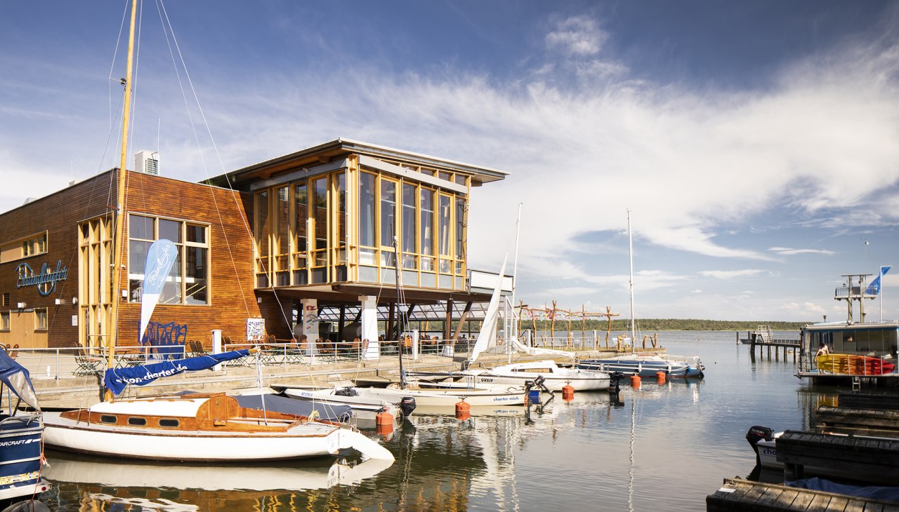 Sandpiper - Mole Müritz Clinic, © Müritz Klinik