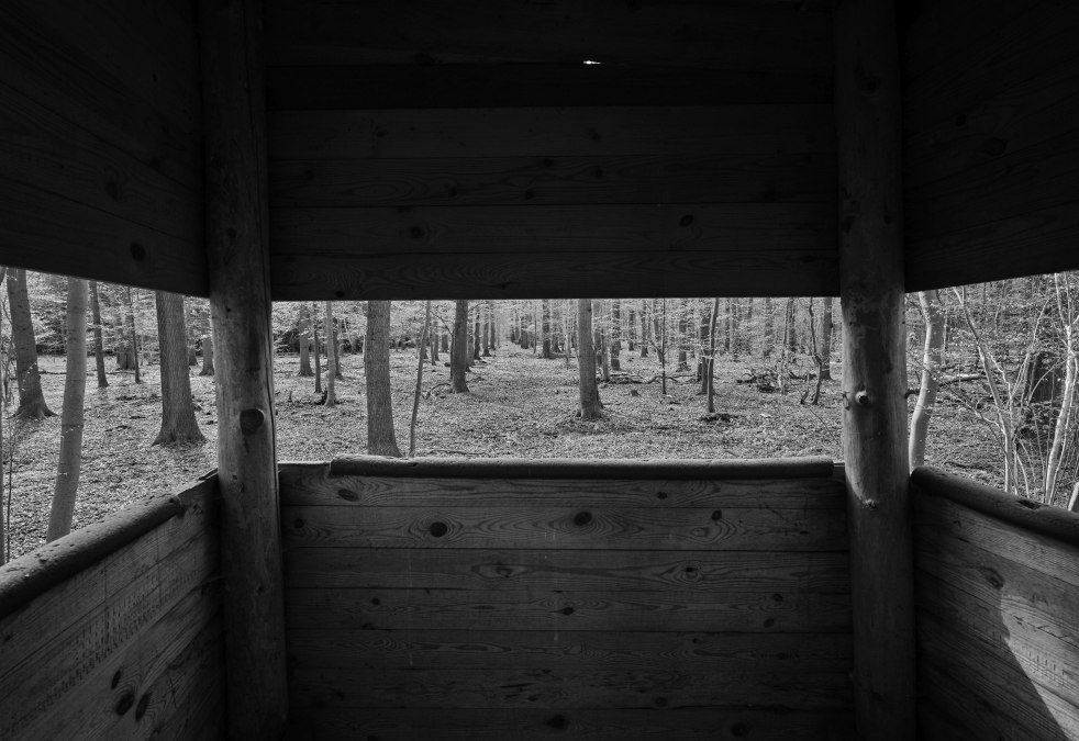 Richard Barnes-untitled-8415_web, © Gutshaus Hessenburg / Richard Barnes