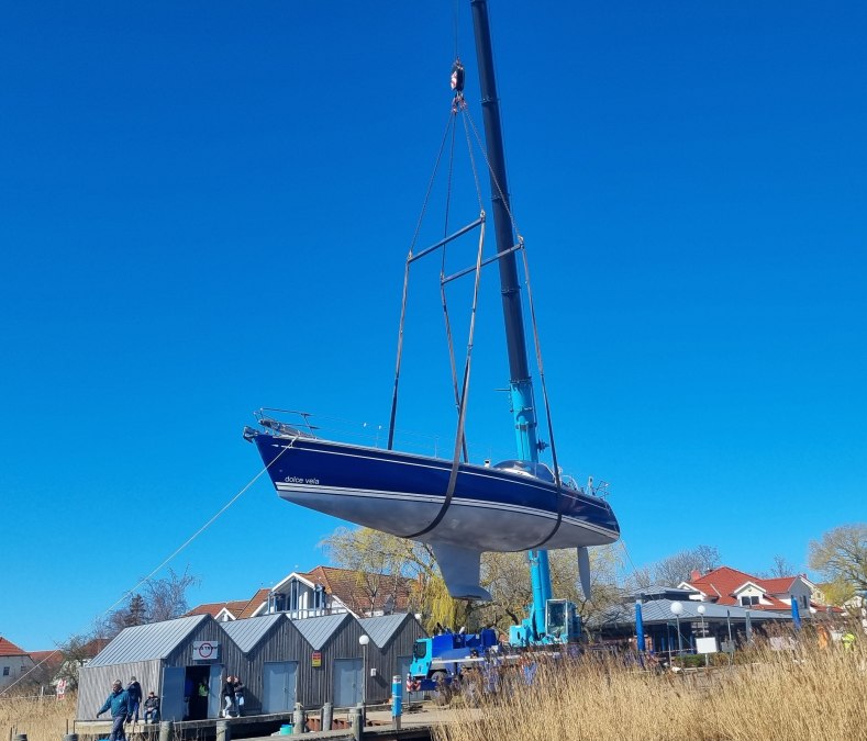 20250405_132615_imx, &copy; Lucie Bordelle