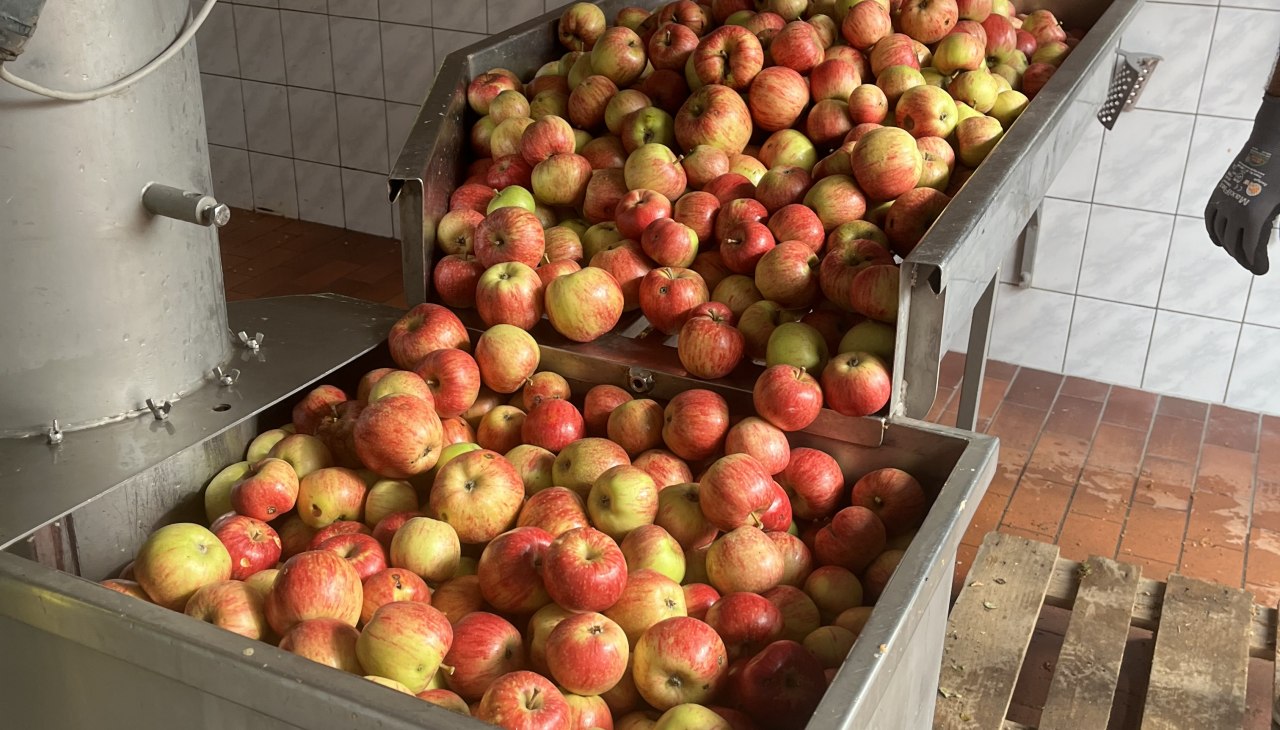 Mosterei_&Auml;pfel, &copy; Andreas Guba