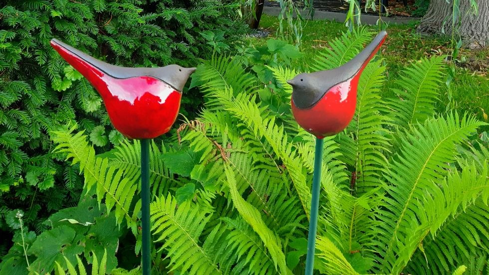 Birdie, &copy; Jana Kohlschmidt