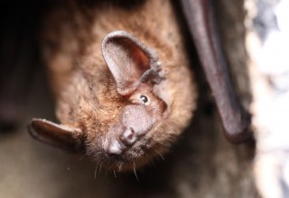 © Zoo Rostock/Schilling