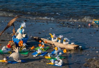 © peter vogel TROLL © peter vogel TROLL