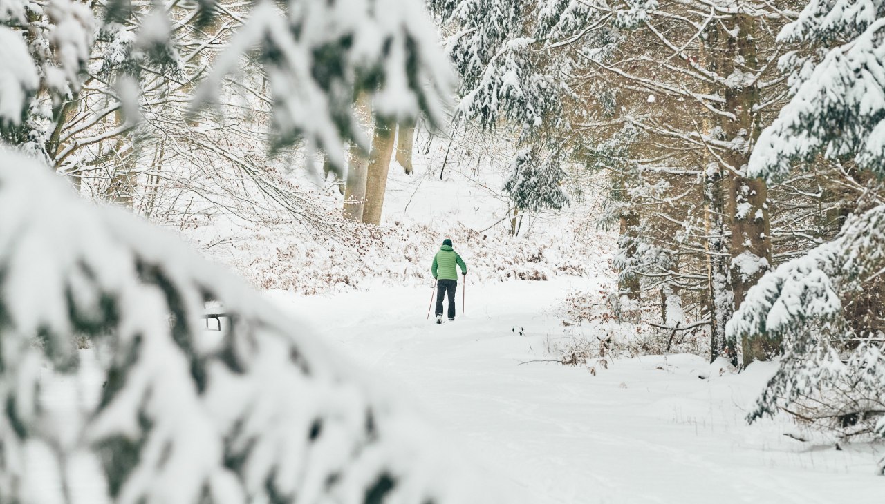 20210209-Winter02-Foto-Burwitz-Pocha, &copy; KV