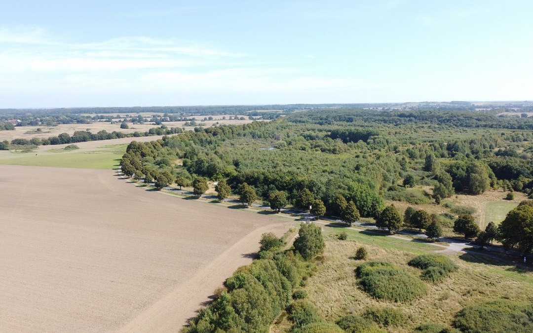 Klimaatbos Biosfeerreservaat Schaalsee, © Landesforst MV
