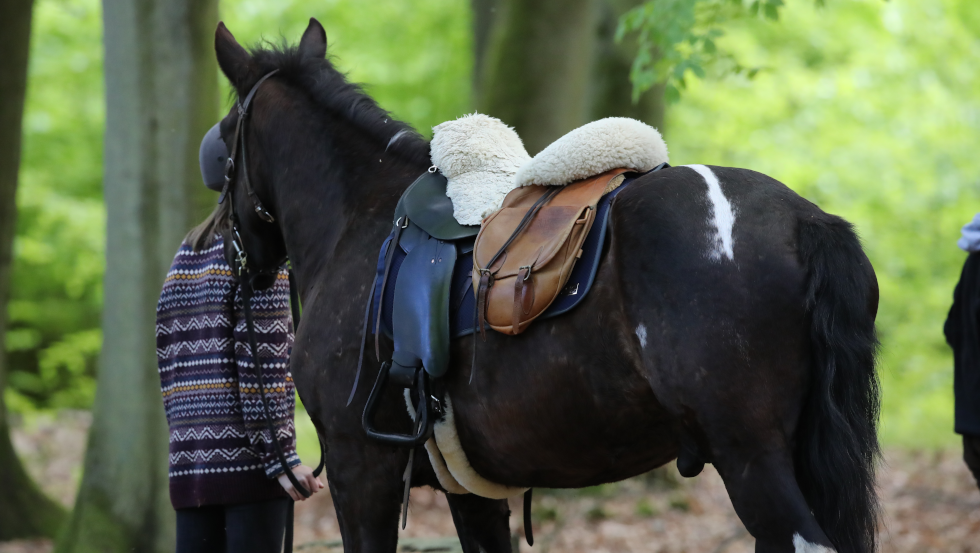 Even uit het zadel stappen en genieten van de natuur is een echte aanrader tijdens het trailrijden in Mecklenburg-Vorpommern., © TMV/Pantel