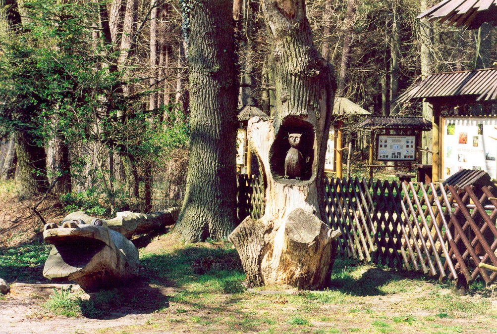 Info center forest and moor entrance nature trail, © Stadt Ribnitz Damgarten