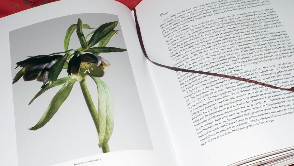 Book excerpt, &copy; Christine Becker